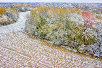 Forest and corn field dusted by early snow