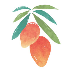 Watercolor style mango illustration on white background.