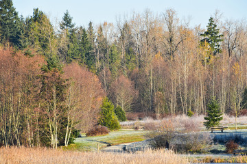 Morning hike at Green timbers regional park, Surrey, BC