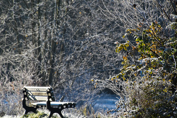 Morning hike at Green timbers regional park, Surrey, BC
