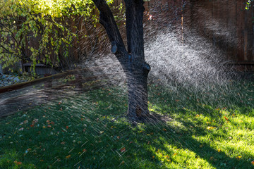 Sprinklers in a suburban yard in summer