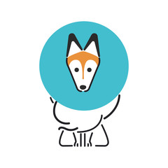 犬　ポーズ　表情　１匹　エリザベス　シェットランドシープドッグ