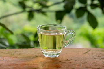 Hot tea in a clear glass placed on the table In the midst of natural atmosphere