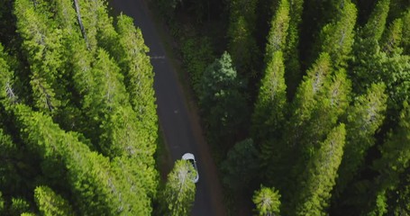 Aerial view of an electric vehicle driving in nature through a green pine tree forest, car driving through the woods, sustainable future concept