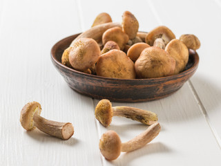 Scattered forest mushrooms near a clay bowl on a white wooden table. Forest mushrooms on the table.