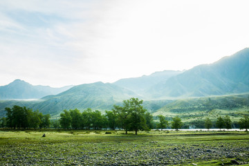 Green mountain valley landscape