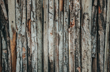 Texture and background. Old wooden fence.