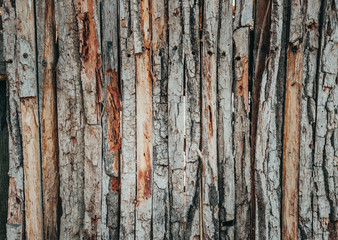 Texture and background. Old wooden fence.