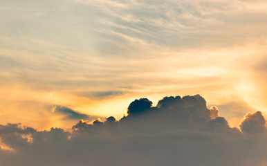 green concept, relaxation, clouds sky, tropical tree, ceiba tree, nature, background, green, sky, plant, blue, tree, summer, leaf, outdoor, branch, bright, spring, season, beautiful, color, white, nat