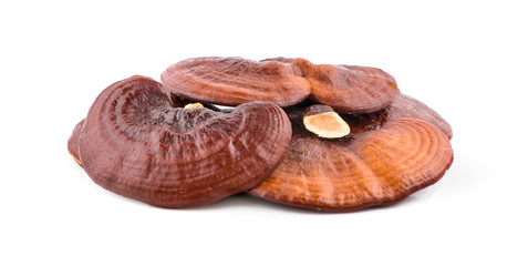 Dried Ganoderma Lucidum Mushroom isolated on white background.Ling Zhi Mushroom