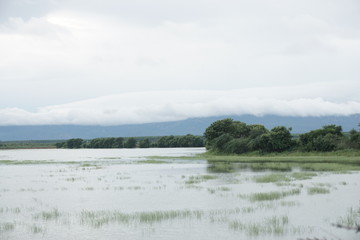 Landscape reflection