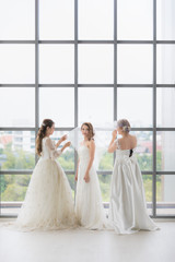 Naklejka premium Group of beautiful brides arrange their dress..