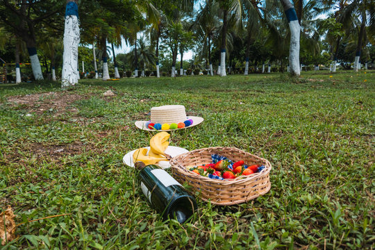 rural landscape and blue and white napkin brown basket with banana, strawberry and wine bottle. free space for decoration