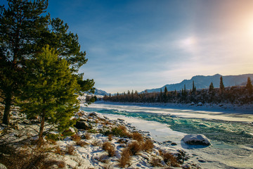 Obraz premium Pine trees, Alpine river and snow-covered shore. Turquoise river in the mountains on a frosty winter day. Incredible mountain valley landscape in sunlight.