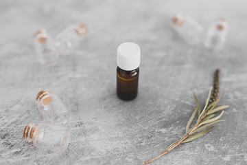 natural beauty and wellness, essential oil bottle with tiny branch of leaves and other bottles