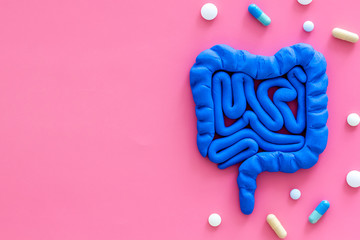 Intestines illness and treatment. Guts near pills on pink background top view copy space