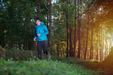 Obraz premium The runner running in the forest