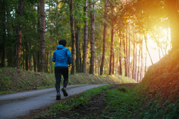 The runner running in the forest