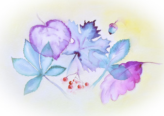 illustration blue and purple transparent watercolor leaves acorn