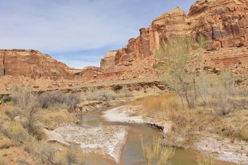Fototapeta na wymiar River in Canyon