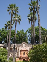 Alcazar - Sevilla - Water Garden - Game of Thrones