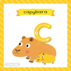 Letter C lowercase tracing. Capybara mother and child