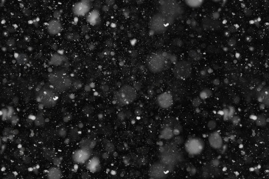Real Falling Snow at night close-up overlay