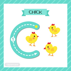 Letter C uppercase tracing. Chick