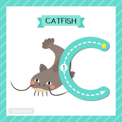 Letter C uppercase tracing. Funny Catfish