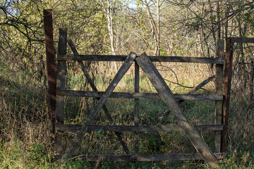 The old abandoned cordon of the Forester in nature in the autumn forest.