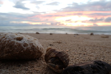 sunset on the beach