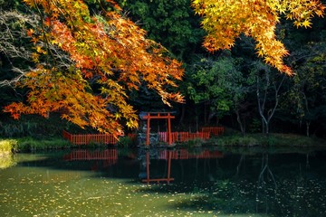 古都奈良の風景　秋 紅葉　Country scenery Nara Japan