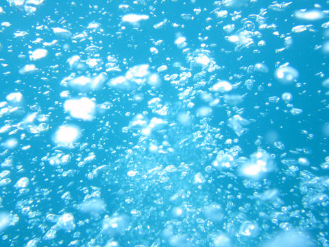 7 966 Best 水中写真 Images Stock Photos Vectors Adobe Stock 7 966 Best 水中写真 Images Stock Photos Vectors Adobe Stock