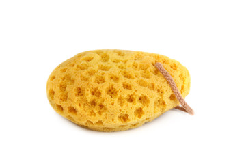 Sponge isolated on white background