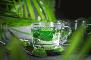 Hot herbal tea with mint