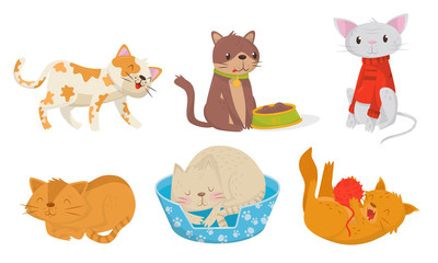 Cute Domestic Cats Eating and Sleeping Vector Set