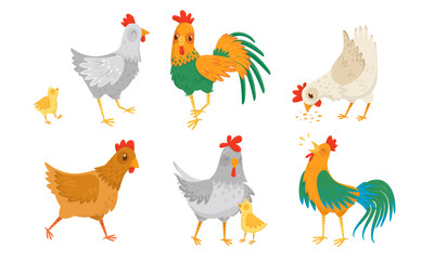 Farm Hen and Rooster with Baby Chicken Vector Illustration Set