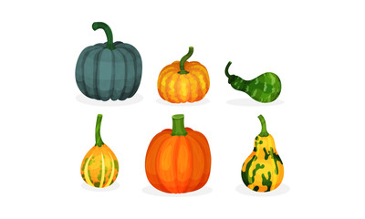 Set of pumpkins of different shapes and sizes. Vector illustration.