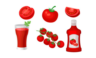 Tomatoes and products from them. Vector illustration on a white background.