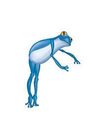 grenouille, bleu, amphibien, animal, isolé, blanc, rainette,  saut, nature, faune, grenouille, crapaud, macro, gros plan, joli, yeux, jouet, petit, dessin animé, illustration, attitude, dense 