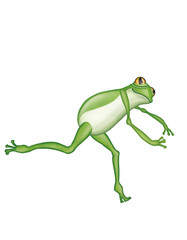 grenouille, verte, amphibien, animal, isolé, blanc, rainette,  saut, nature, faune, grenouille, crapaud, macro, gros plan, joli, yeux, jouet, petit, dessin animé, illustration, attitude, dense 