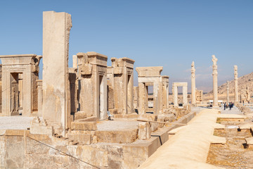 The Tachara Palace and columns of the Apadana Palace, Persepolis