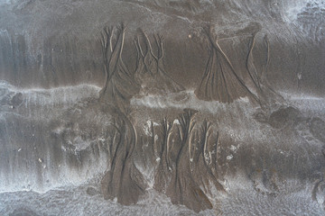 Background of furrows made by the sea in the sand