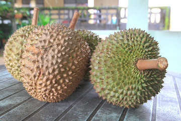 Fresh durian. King of fruit From the garden