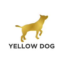 Yellow dog goldl ogo design, animal logo pet shop 