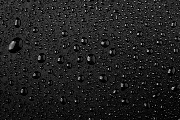 Water droplets on black background