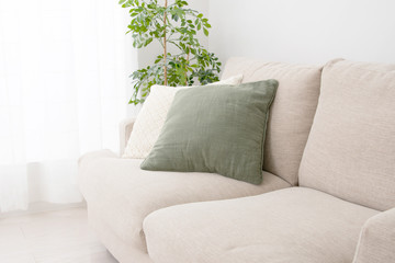 ソファと観葉植物