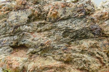 close-up texture of the rock. Use for background