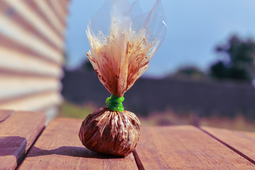 mava on wooden,mavo addiction ,