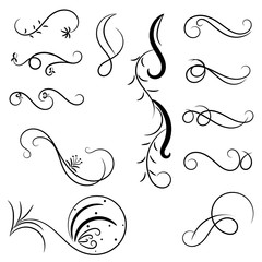 set of borders and swirl dividers decorative elements isolated on white for design